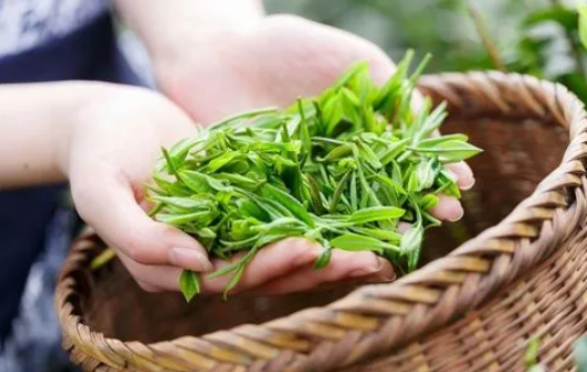 女生打豆豆方法（2个方法让自己高C不符按）