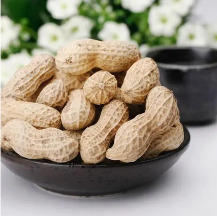 这4款食物是公认的护眼食物(保护双眼要多吃这些食物)