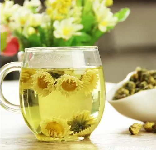 菊花茶怎么喝更养生（菊花茶养生方法推荐）