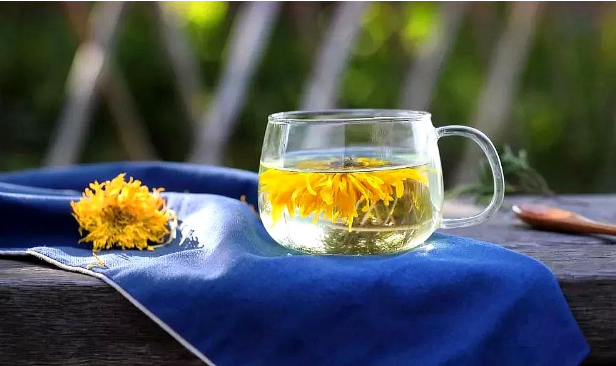 菊花茶应该怎样喝才养生（菊花茶这样喝清热解毒）