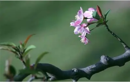 春分节气如何养生（揭秘不同体质养生原则不同）