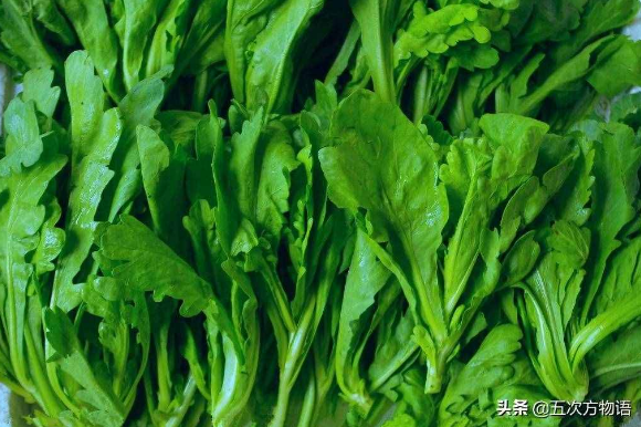 秋天饮食养生怎么吃（秋季饮食养生这些食物不容错过！）