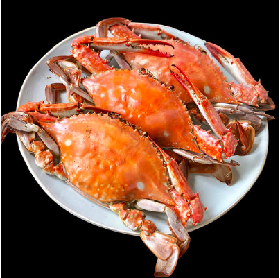 补肾的食物有哪些(补肾效果好的食物总结)