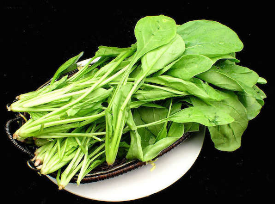 老年人夏季养生吃什么（老年人夏季养生食谱推荐）