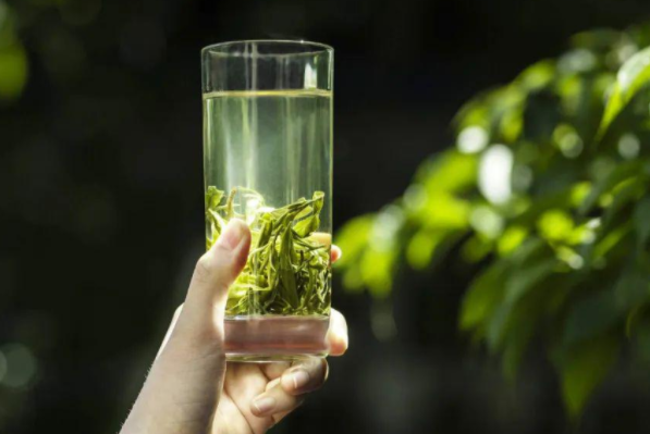 养生茶怎么煮（养生煮茶配方有哪些）