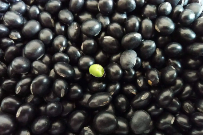 冬季补肾吃什么好（最适合冬季补肾的食疗方推荐）