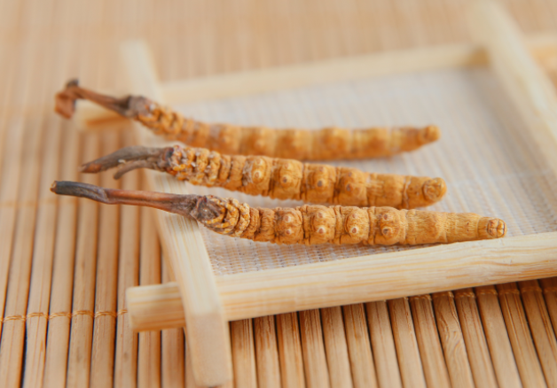 冬虫夏草并非万能补药（配合这些服用效果更好）