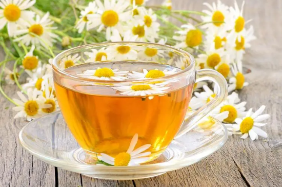喝茶养生方法(菊花茶怎么喝最好)