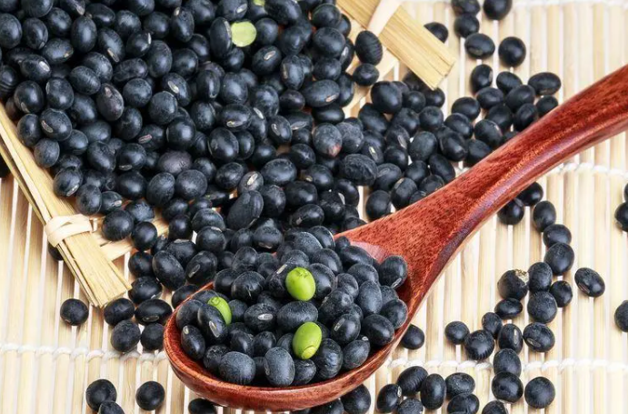 哪些食物对肾好（吃什么可以补肾）