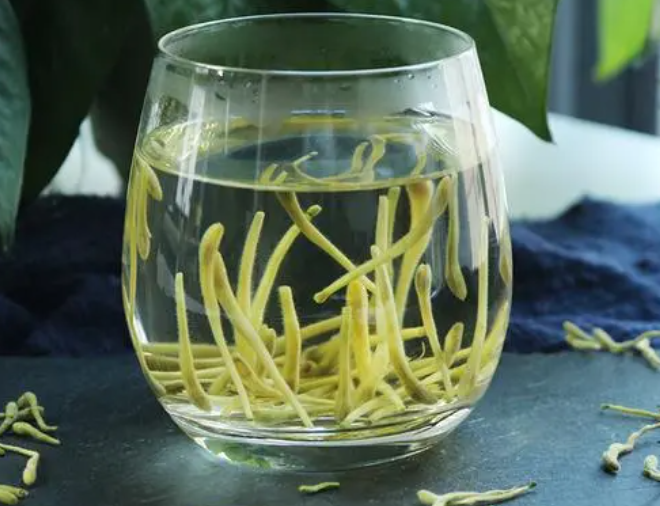 夏季怎么食用金银花养生（金银花泡茶的养生方法）