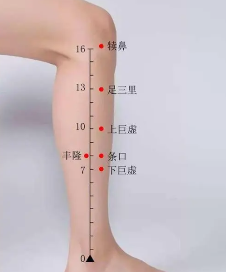秋季穴位养生按哪里好（推荐足三里和阴陵泉）