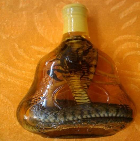 什么蛇泡酒最补肾壮阳（4类蛇酒补肾壮阳效果更好）