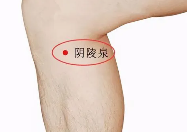 阴陵泉疼痛预示着什么(阴陵泉按压疼死了)
