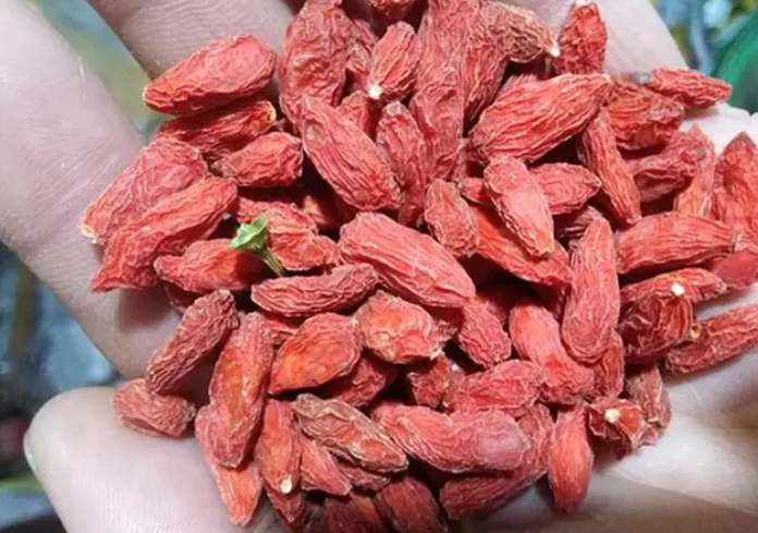 枸杞子30g是多少粒(30g冰糖有多少)