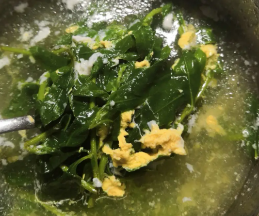 枸杞子菜的做法(枸杞菜高产种植技术)