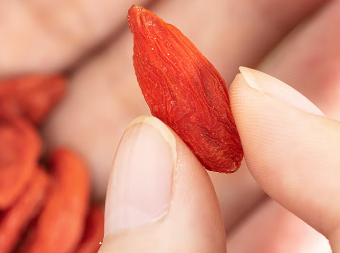 枸杞子大枣蜂蜜一起泡可以吗(大枣配蜂蜜泡水好吗)