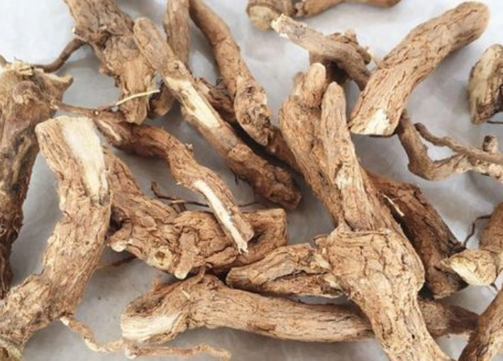 枸杞子的根有什么药用功效与作用(枸杞根怎样吃)