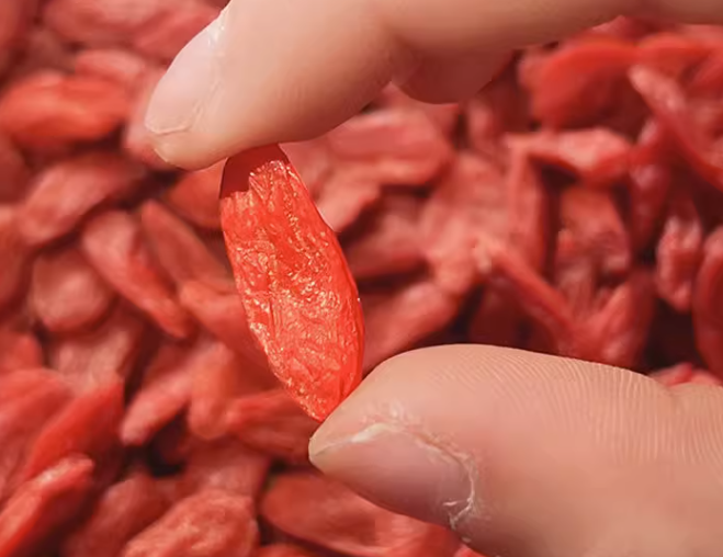 枸杞子的正确吃几粒(枸杞泡水喝放几粒)