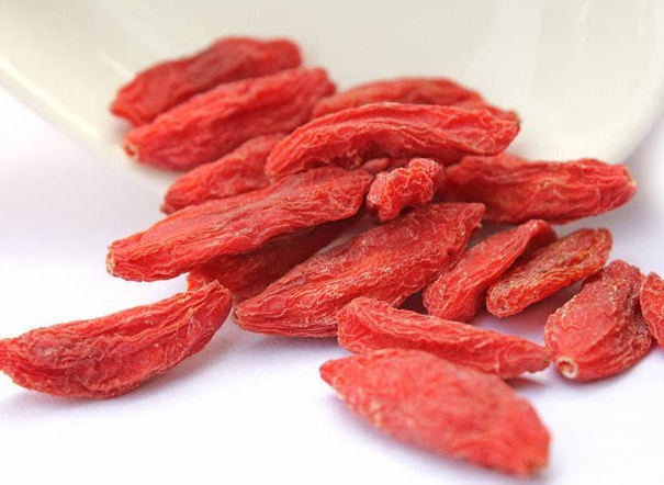 枸杞子的食疗和营养价值(金丝熊可以吃枸杞吗)