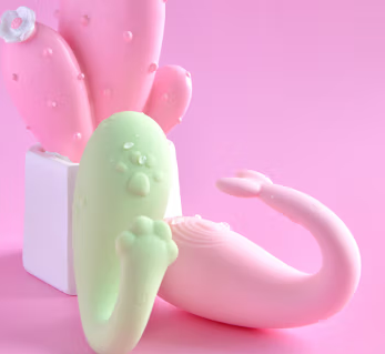 蝴蝶跳蛋什么样（蝴蝶直跳）