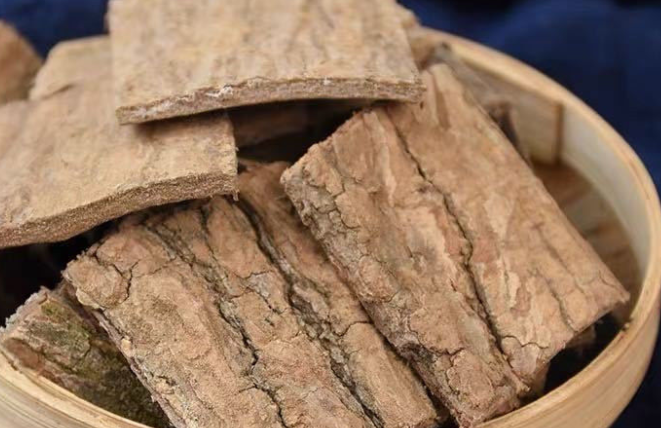 杜仲和什么泡水喝能壮阳（杜仲壮阳的三种搭配）