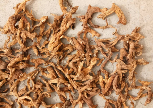 熬中药的十大忌讳（煎中药的十大注意事项）