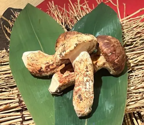 冬季为什么最适合补肾（补肾吃哪些食物好）