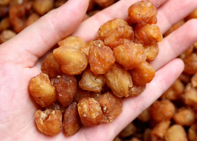治肾阳不足吃什么好（吃动物鞭食补要区别对待）