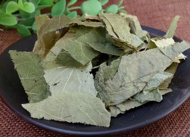 补阳中草药有哪些（你知道吗）