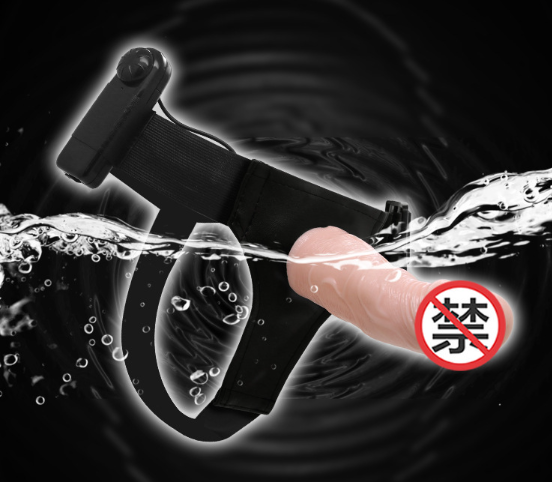穿戴阳具能托运吗