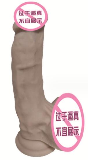 假的男性阳具：过安检没问题吗？