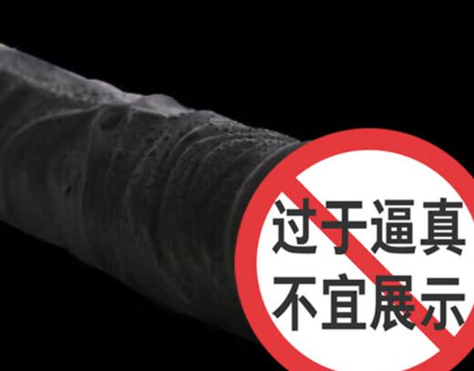 什么是充电仿真阳具（为什么需要充电仿真阳具有声音功能）