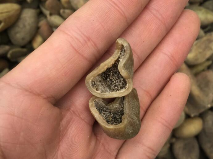 五倍子和蛇床子泡洗管用吗