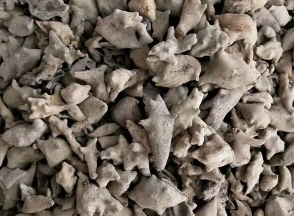 五倍子蛇床子煎洗15天后效果可以彻底降低gui头敏感吗