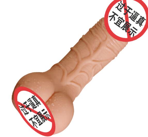 一个有趣的产品：可加热的假阳具