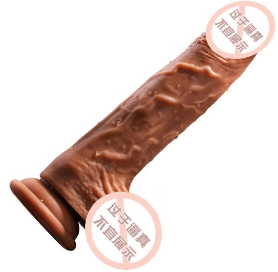 女性性欲与失落感：女人使用阳具的探究