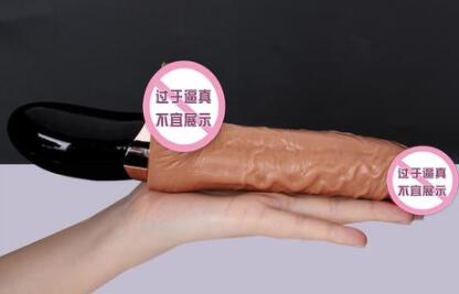 电动阳具有几个样是（实践具有以下几个方面的特点）