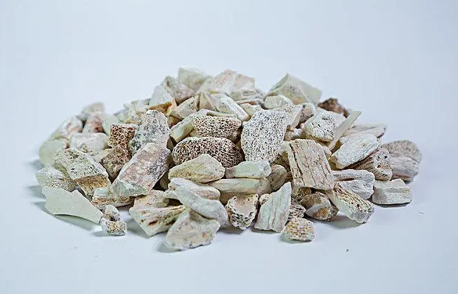 龙骨的功效与作用禁忌