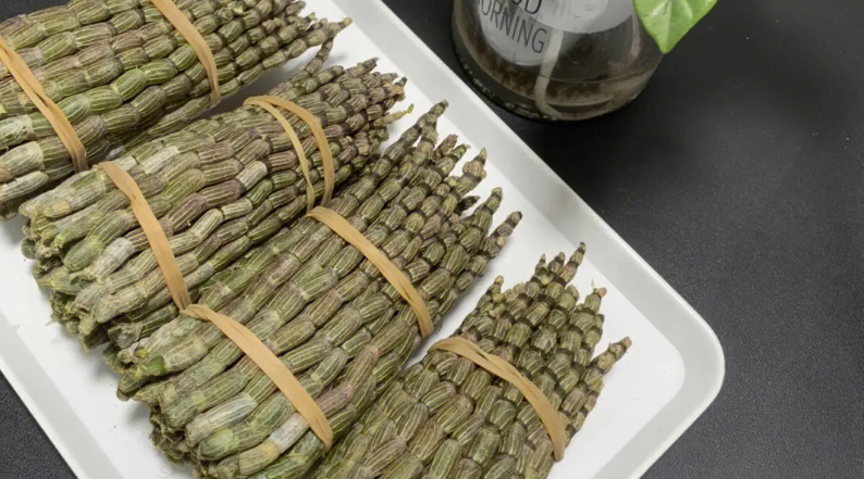 壮阳食物排行榜10强