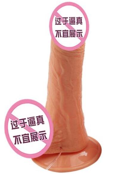 女性生殖器的构造 女性阳具的功能