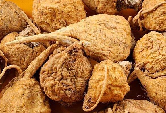 玛卡泡水能天天喝吗 玛卡的营养价值