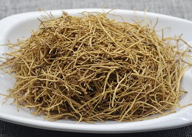 丁香细辛泡酒精延时吗 丁香细辛泡酒精的理论效果