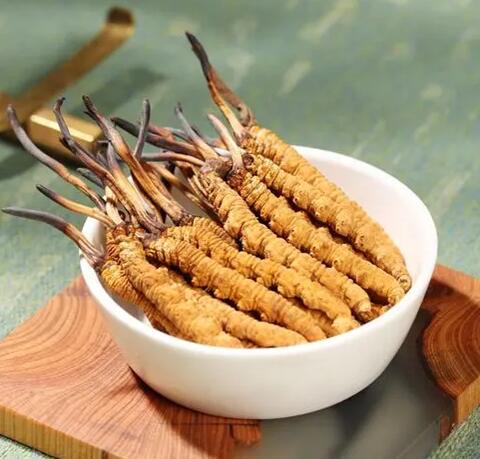 什么是冬虫夏草 冬虫夏草可以增强体质吗