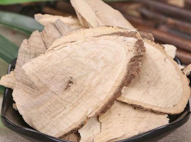 刺五加片的功效与作用和副作用