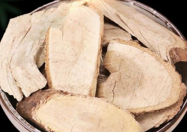 刺五加片的神奇功效与作用是什么