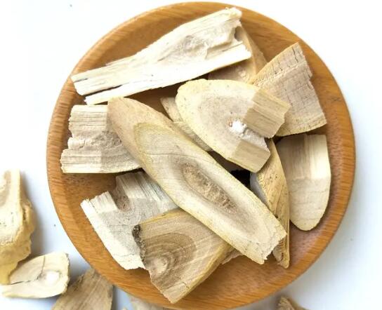 刺五加片补肾效果怎么样 刺五加片对肾功能的作用