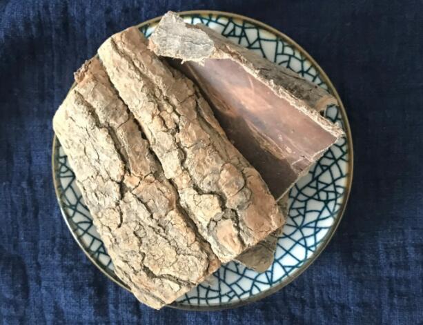 杜仲皮是否可以提高性功能 杜仲皮能提高性功能的原理是什么