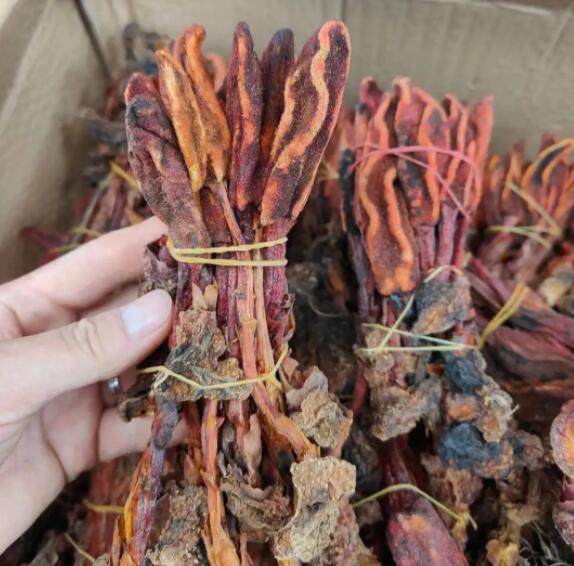 回春草补肾效果怎么样 回春草壮阳真的有作用吗