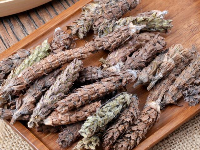 夏枯草的功效与作用及禁忌 如何正确使用夏枯草