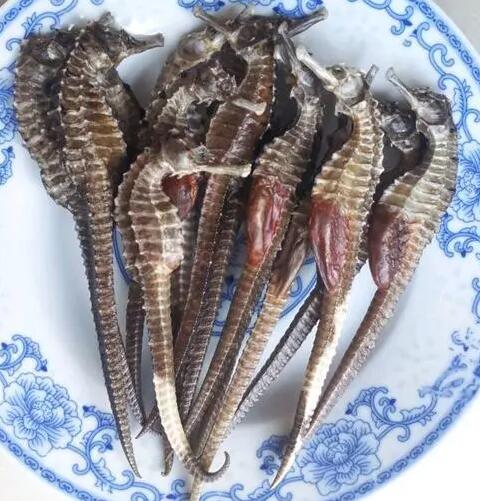 海马能补肾壮阳吗，怎么吃壮阳效果最好